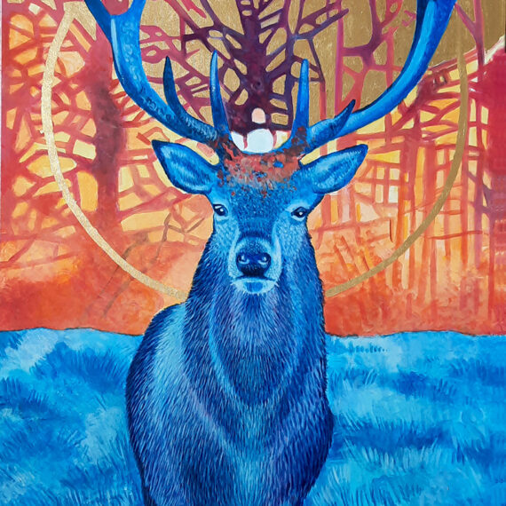 Deer at sunset